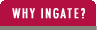 Why Ingate?
